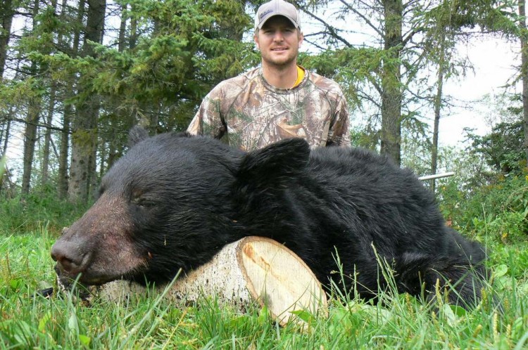 Black Bear | Harvest Lodge