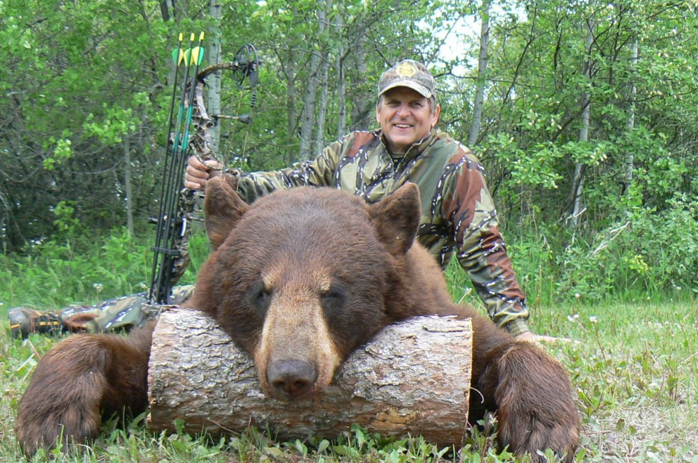 Black Bear | Harvest Lodge