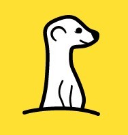 meerkat