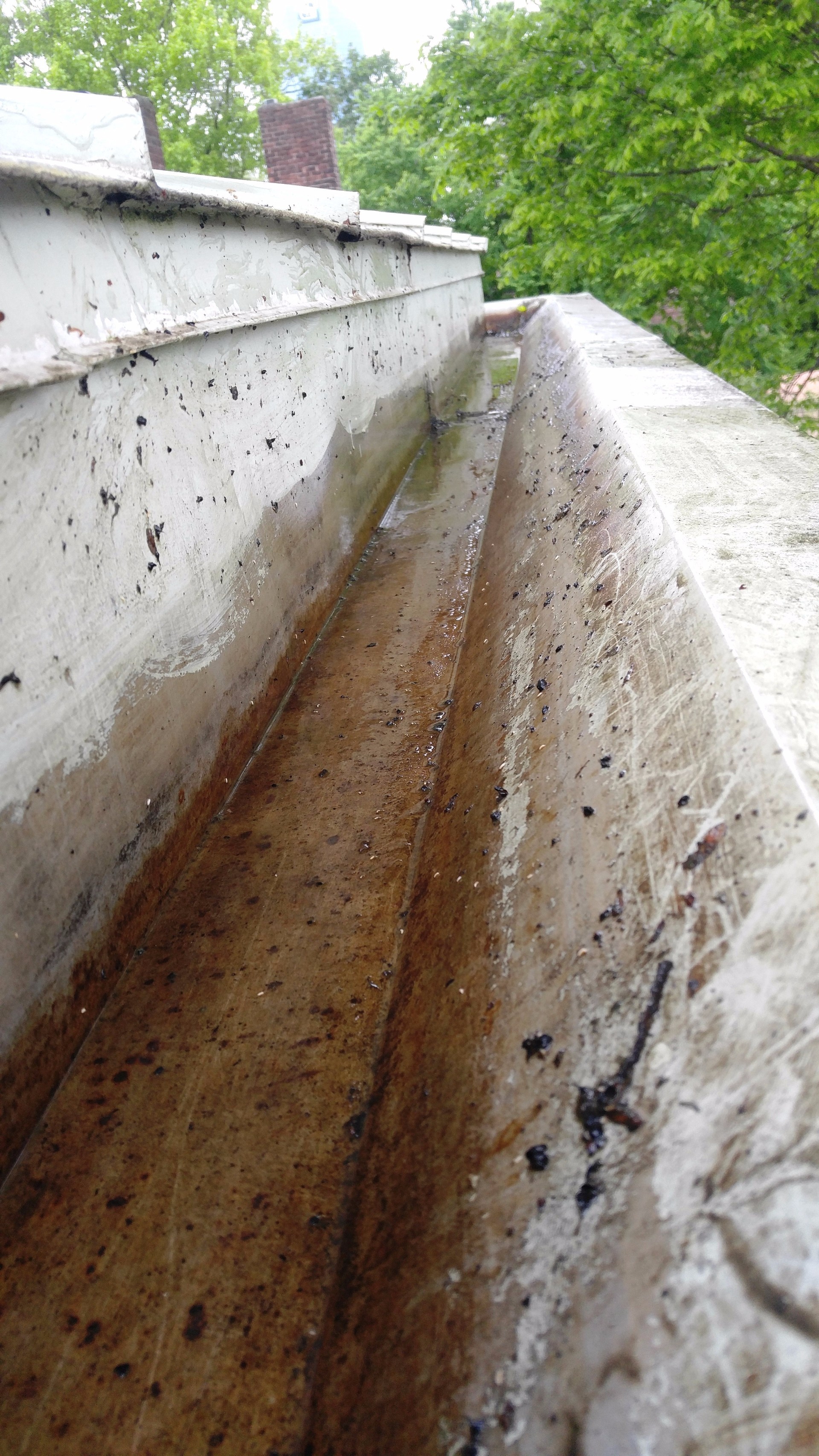 Gutter Cleaning Richmond, Berea, Winchester KY