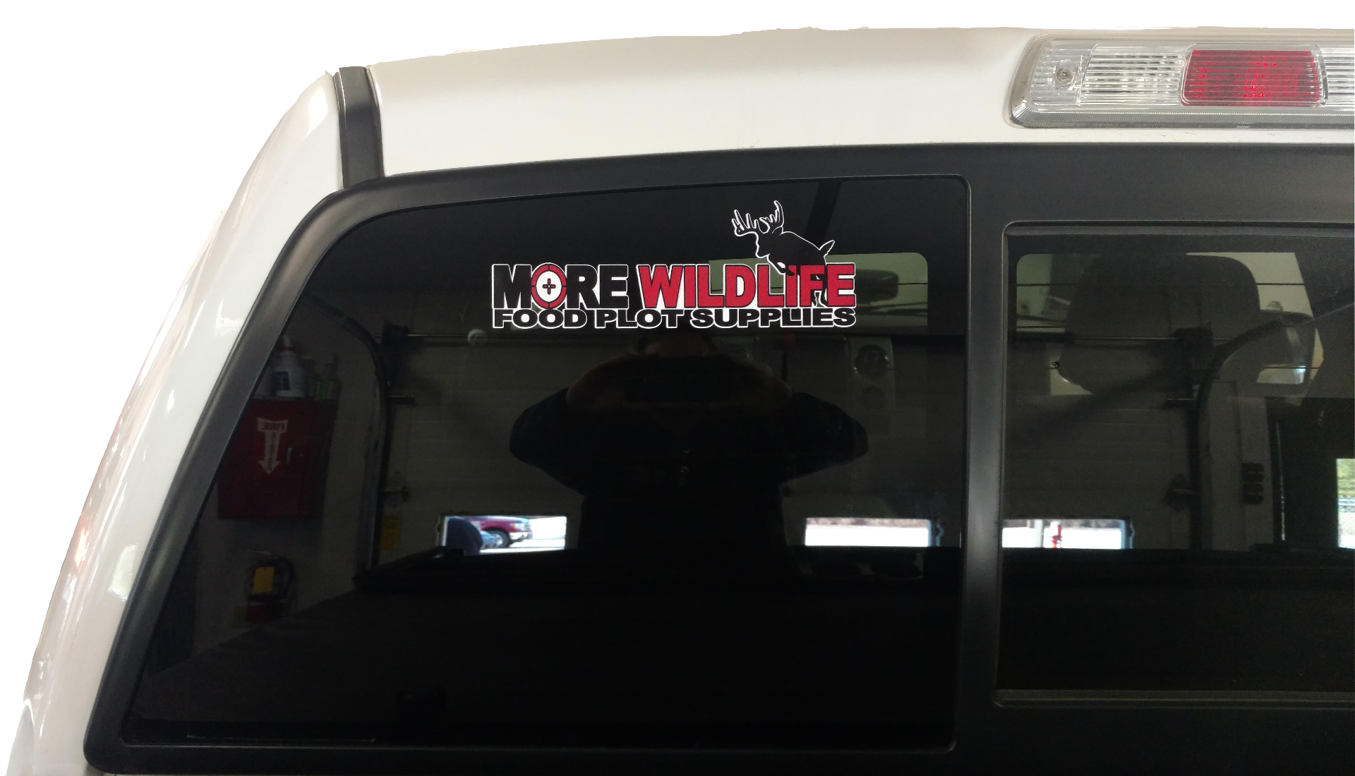 more-wildlife-window-decals