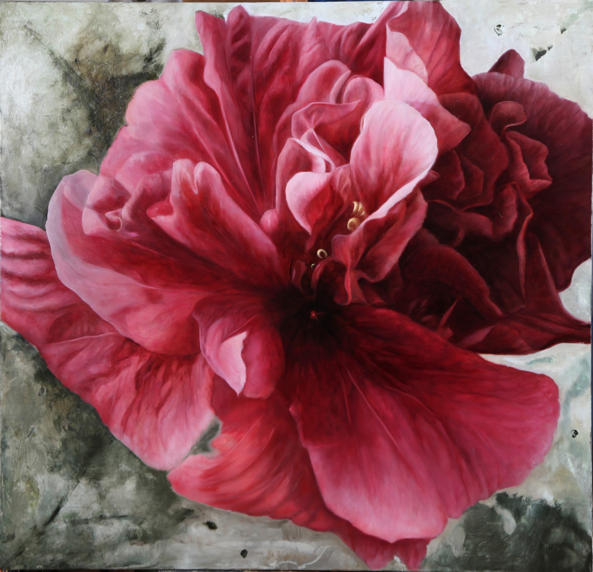 Hibiscus Flowers, Hibiscus paintings, tropical paintings, Panama ...