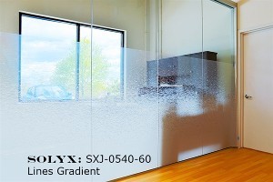 Decorative Films Phoenix Home Window Tinting