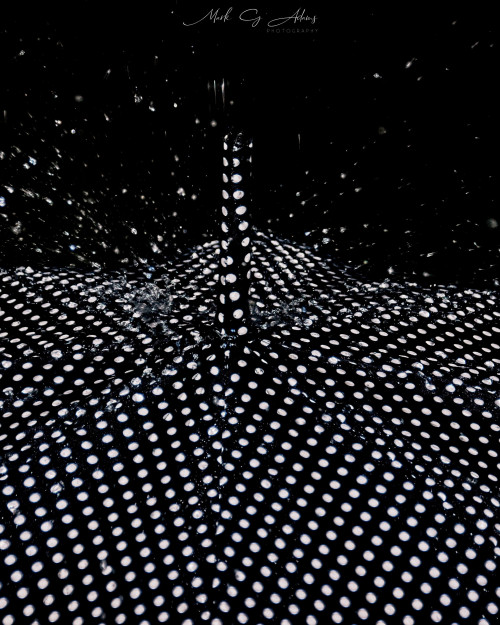 photoscape x nik collection photoscape x nik collection