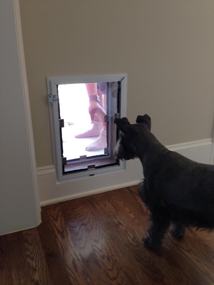 Premium Pet Door Installation Service