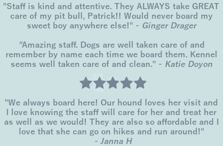 Creature Comforts Pet Retreat Home
