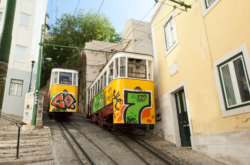 Jardim do Torel