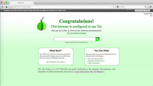 download tor browser onion
