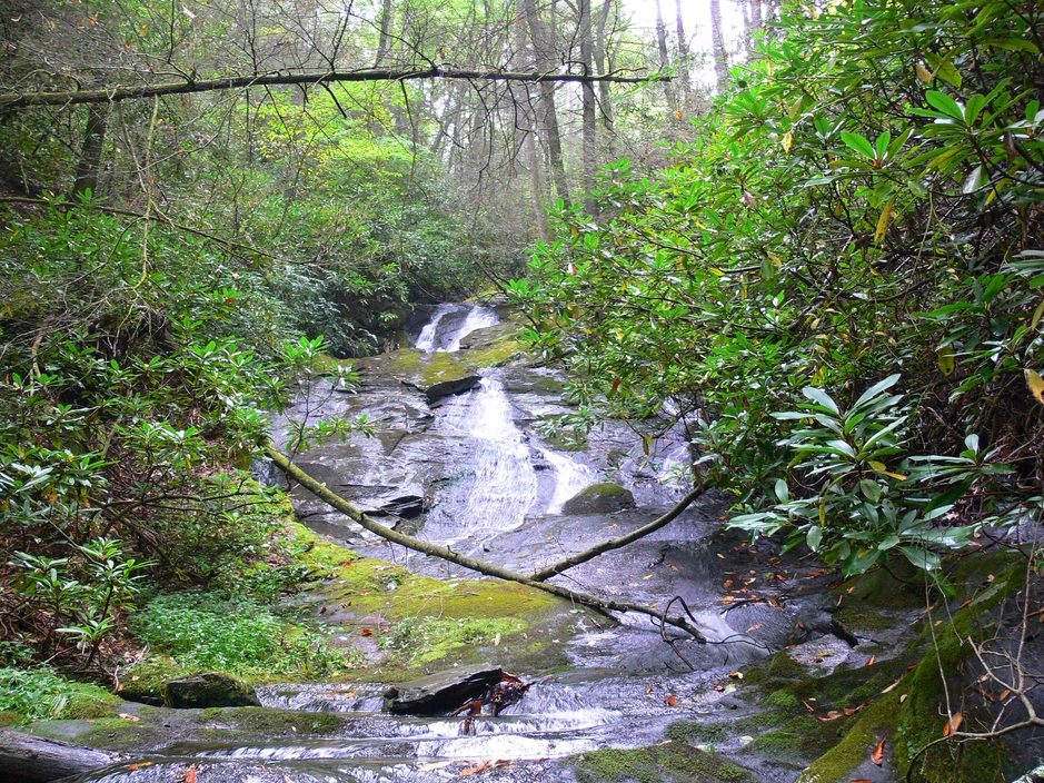 LAUGHING FALLS