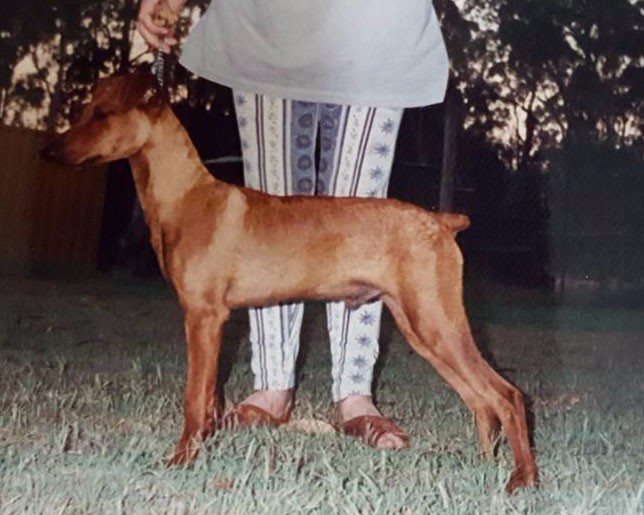 Bundy at 12 months (4)