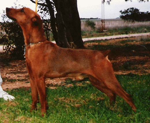 Sam