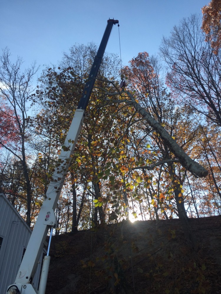 Smith's Tree Service, Home Page