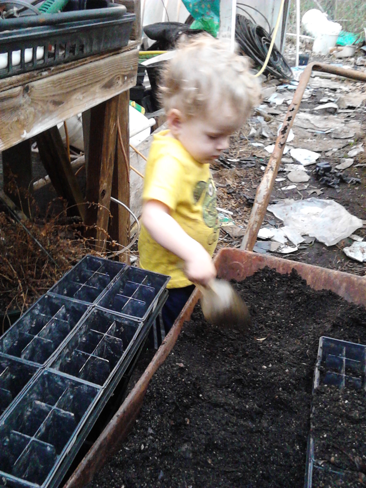 helping grandma