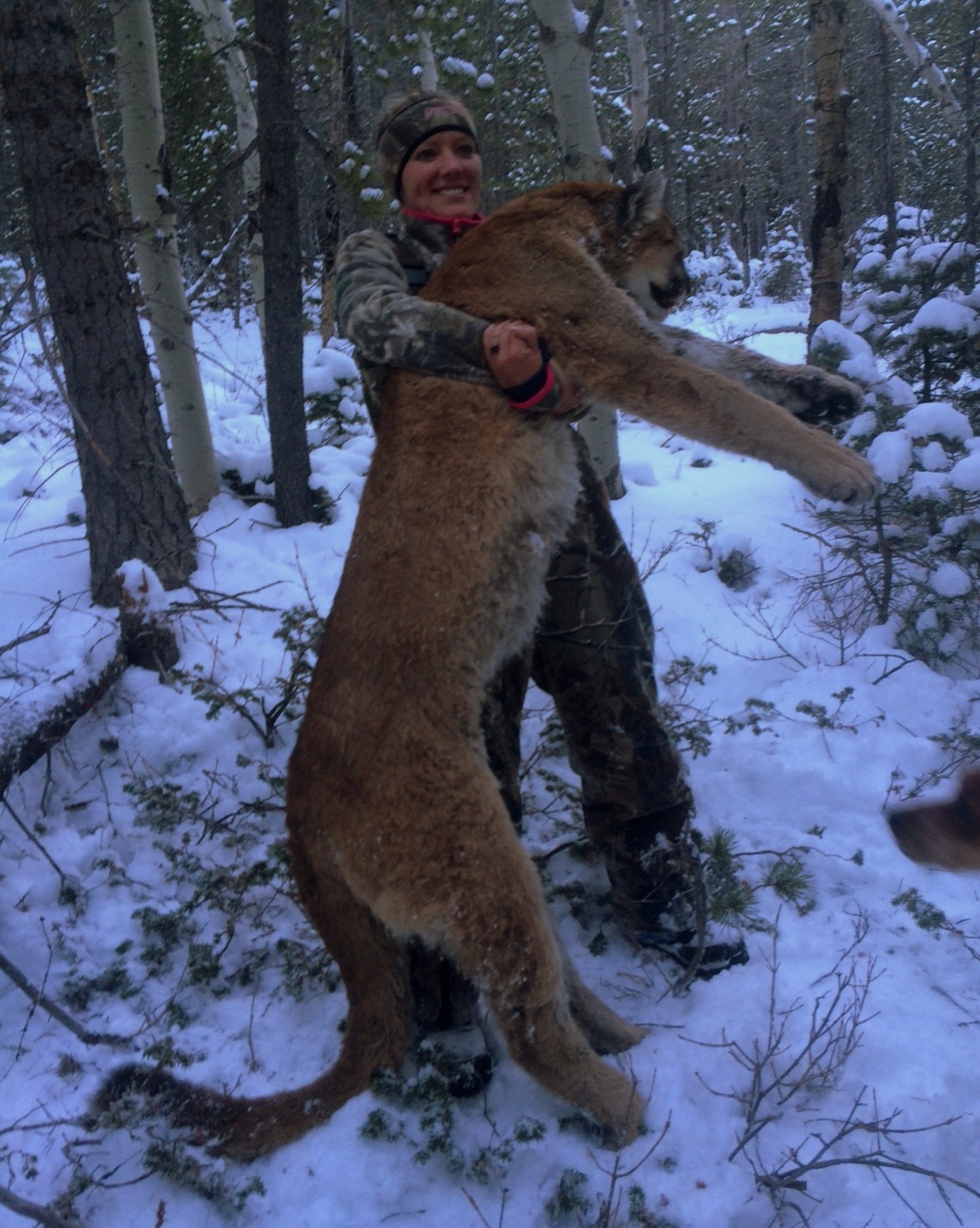 Top Mountain Lion Hunting