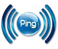 ping your website