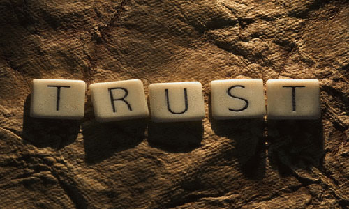 why is your websites trust rank important