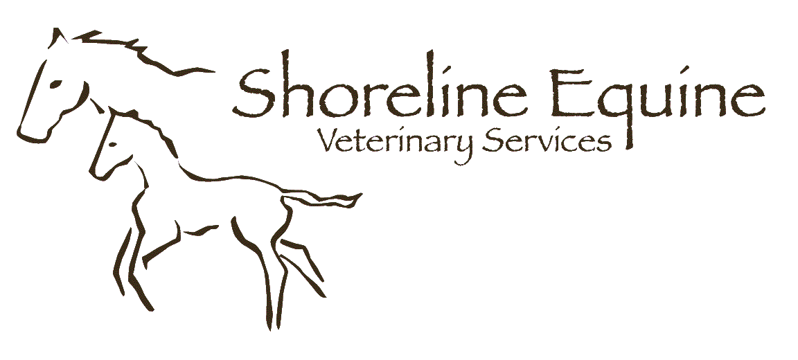 Shoreline deals veterinary clinic