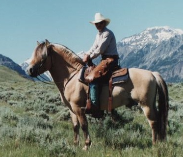 Dun Norwegian Fjord Stallion Wyoming