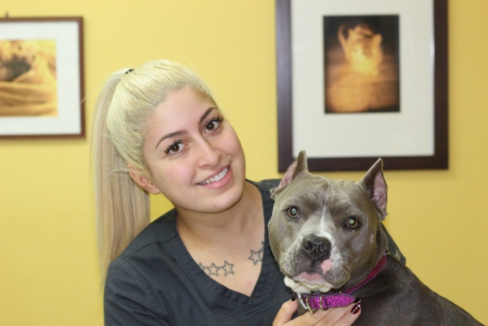 wright's animal hospital