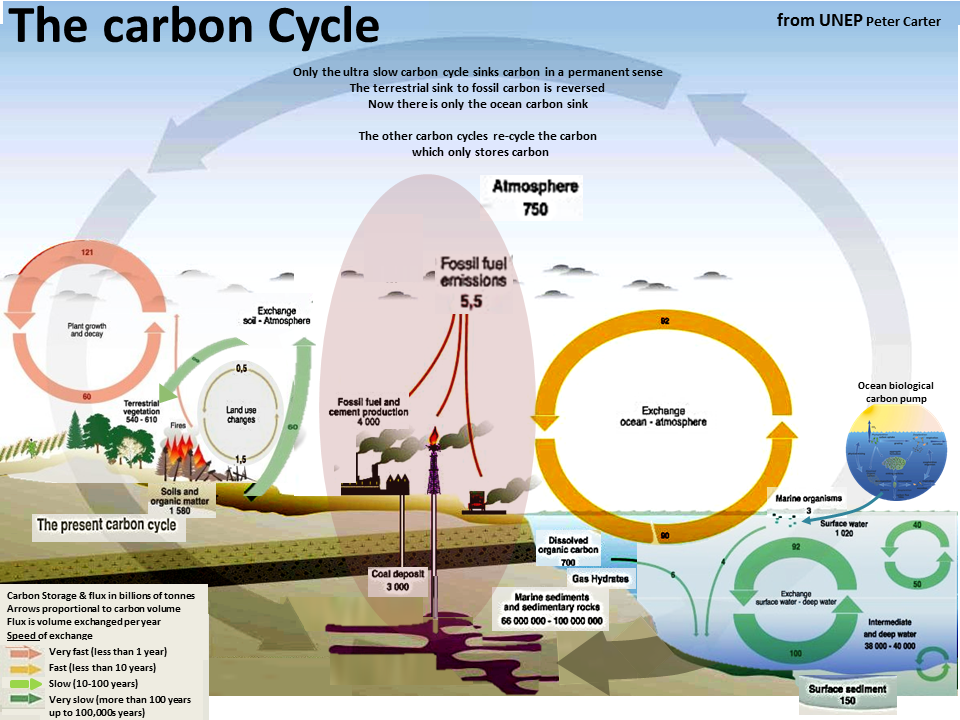 Cycle science. Organic Carbon Cycle. Biomass Energy Cycle. Цикл карбон диоксида. Carbon Storage North Sea.