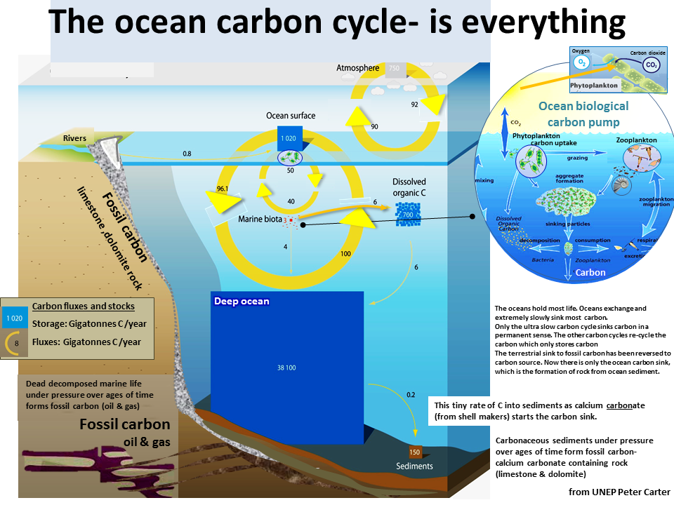 how-co2-emissions-change-ocean-chemistry