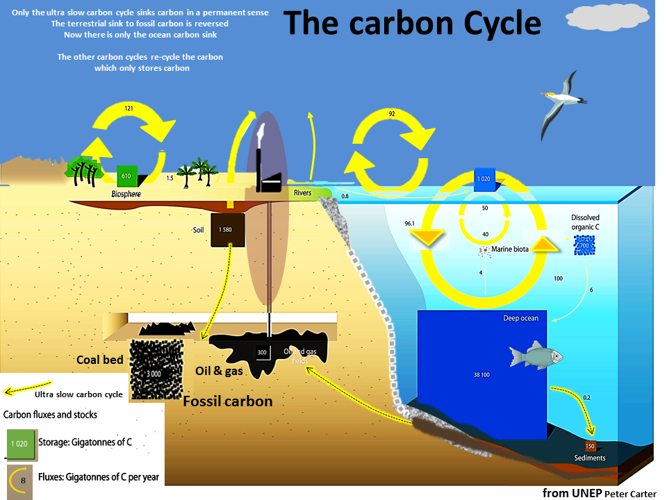 Ultra slowed. Carbon Sink. Natural Carbon Sinks. Sunken Fossil World сюжет. What are Carbon Sinks.