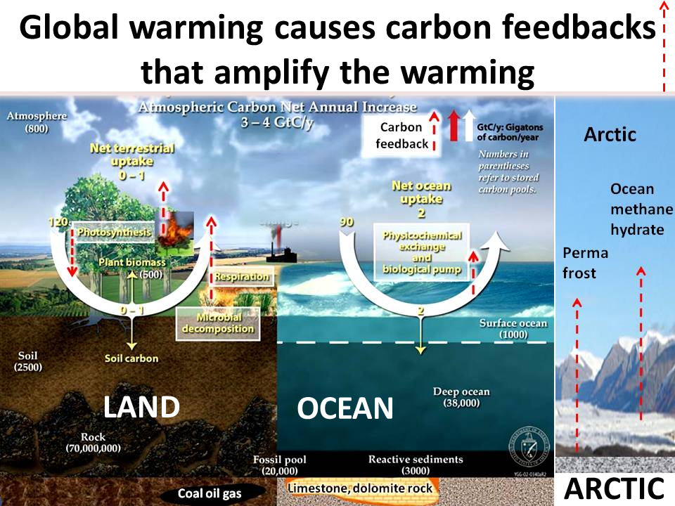 Global warming causes. Global warming scheme. Как решить проблему глобального потепления на английском. Global warming methane.