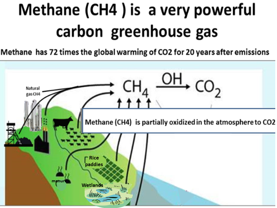 from how atmosphere co2 to absorb carbon feedbacks