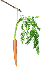 Carrot