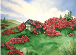 watercolor ~rose covered shack