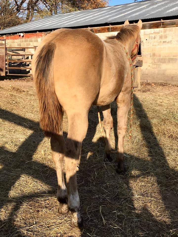 Levi57