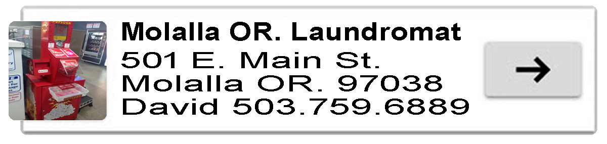 pdf badge laundry 6.5 copy