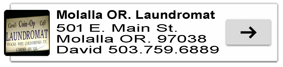 pdf badge laundry 6.7 copy