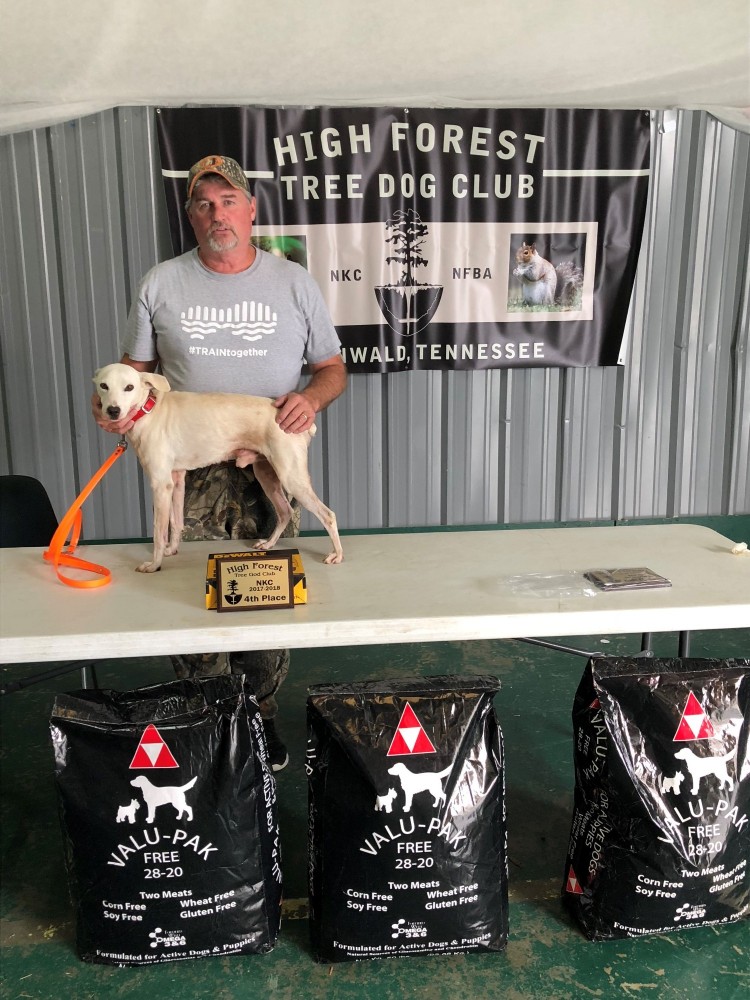 blonde long haired dachshund