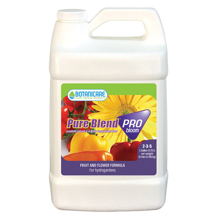Pure Blend Pro Bloom