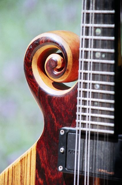 scroll electric mandolin handmade