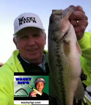 wacky stick bait tool o rings worms wacky bill