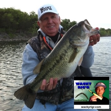 0 wacky tool stick bait saver worm k and j tackle