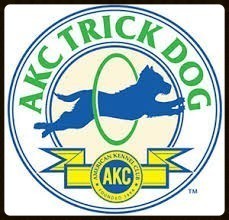 AKC Trick Dog Evaluation and Video Submission