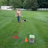 Psychiatric service dog training and certification 