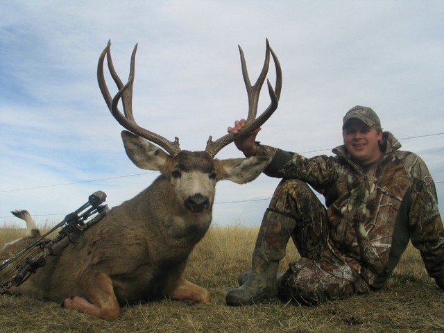 Mule Deer - Eastern Colorado - Plains Hunting - Mule Deer Outfitters