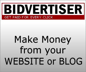 Let advertisers bid on your ad space and make money with Bidvertiser