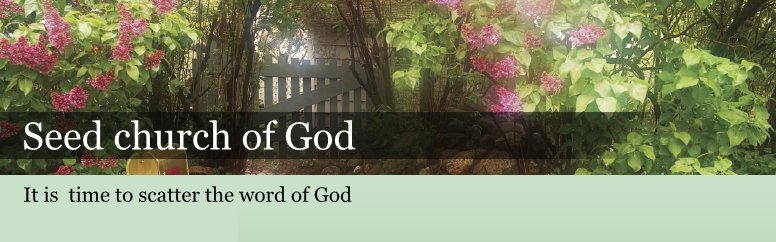 Welcome to Seed church of God website