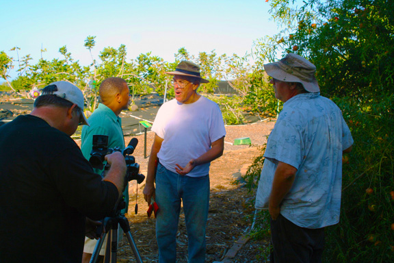 Go green, Green Hawaii, Sustainability, Organic, Energy in Hawai, Hawaii, Lono, Bounty, Agriculture, Kamaina, Eco System, hawaiina Farms, Sustainability, Agraian society, Hawaiian Agriculture