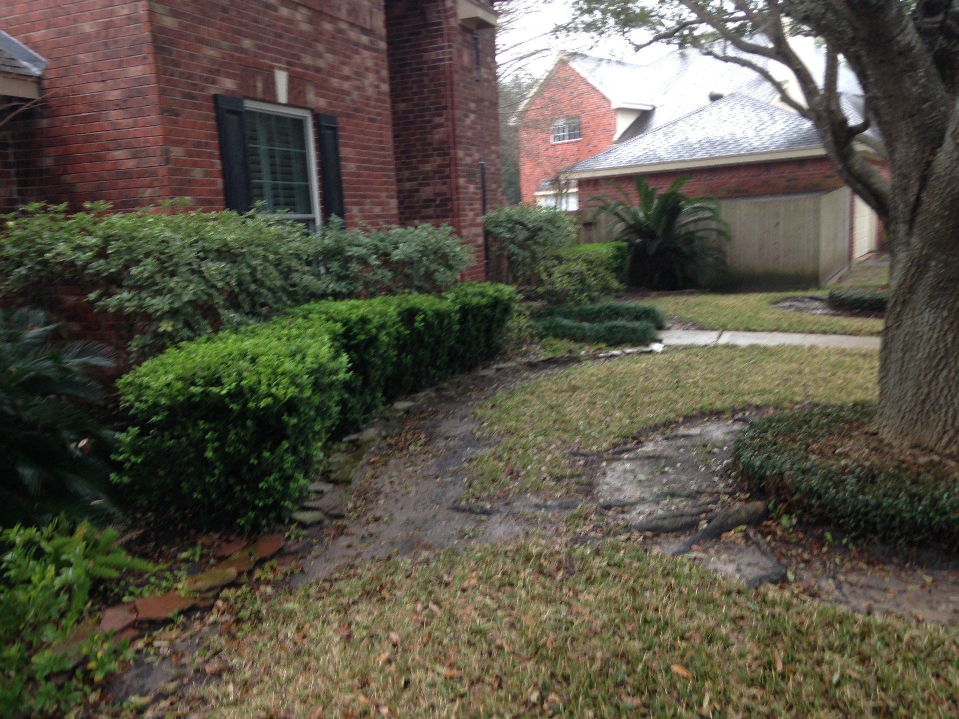 MLS Landscape Restoration Landscape Projects Houston, TX