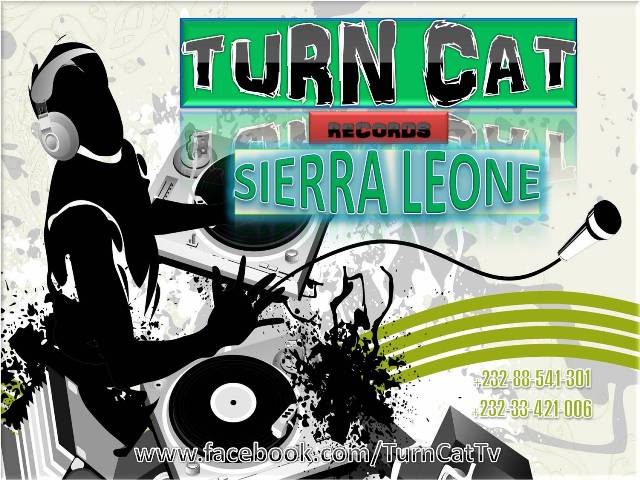 Turn Cat TV