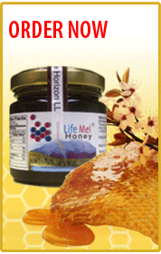 At LifeMelUSA.com, we offer LifeMel Honey, a unique honey produced by bees that are fed a mixture of therapeutic herbs, natural honey and other natural ingredients which allows LifeMel to support the treatment of the side-effects of chemotherapy and radiation suffered by cancer patients, thus significantly improving their quality of life.