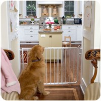 dog gates