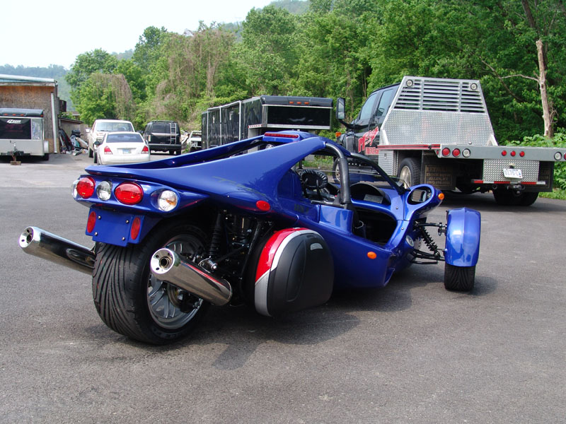 back view blue T-Rex