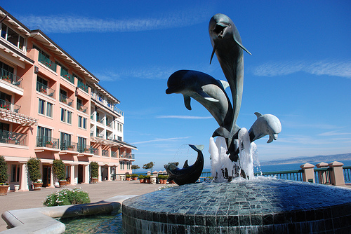 dolphin fountain